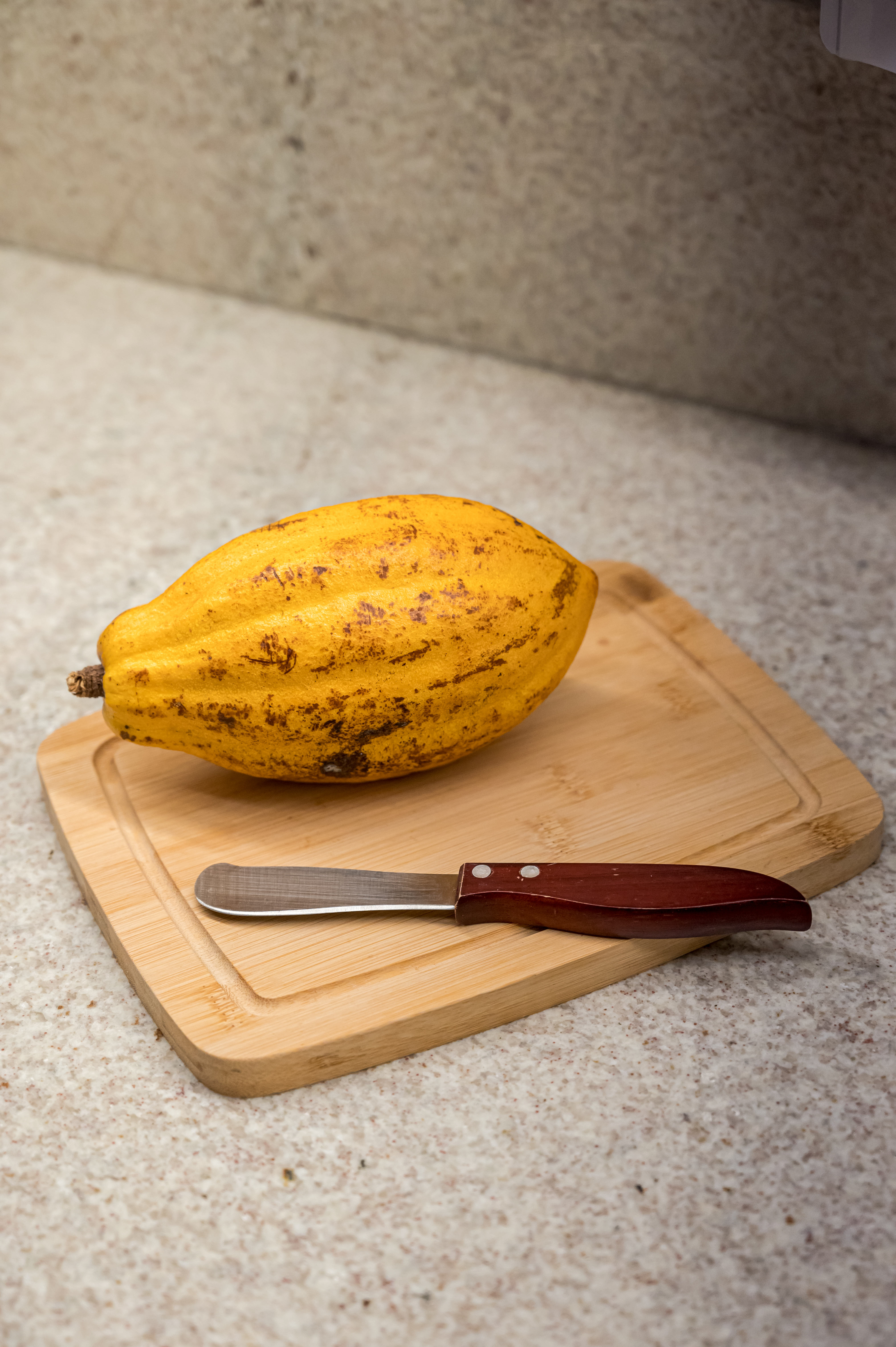 Cozinha Botafogo 7